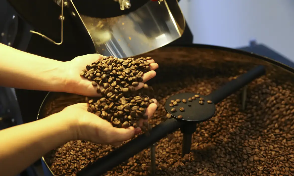 Produção de café deve fechar 2026 com 67,6 milhões de sacas, maior da série histórica Produção de café deve fechar 2026 com 67,6 milhões de sacas, maior da série histórica