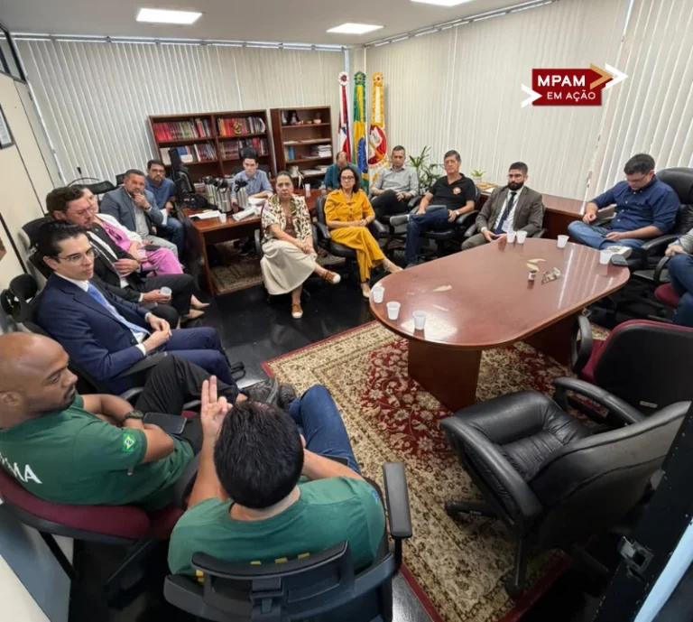 Ibama repassará autos de infração ao MP para subsidiar ações penais na capital e no interior
