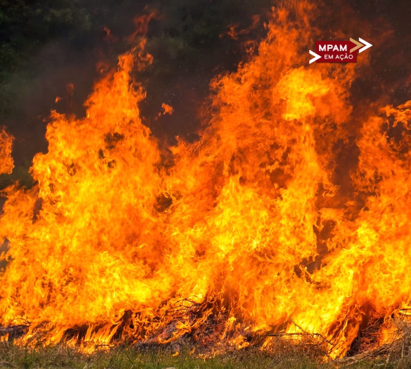 Em Borba, MP recomenda medidas protetivas contra incêndios florestais e queimadas Em Borba, MP recomenda medidas protetivas contra incêndios florestais e queimadas