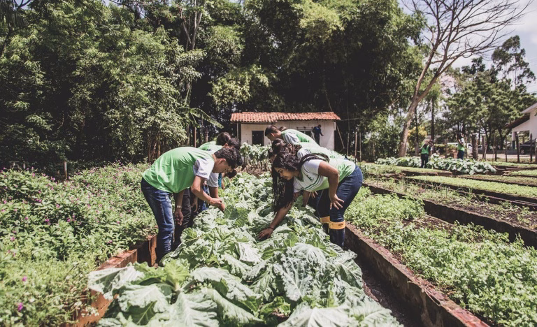 A resolução estabelece uma ordem de prioridade territorial que começa pelos agricultores do próprio município responsável pela compra