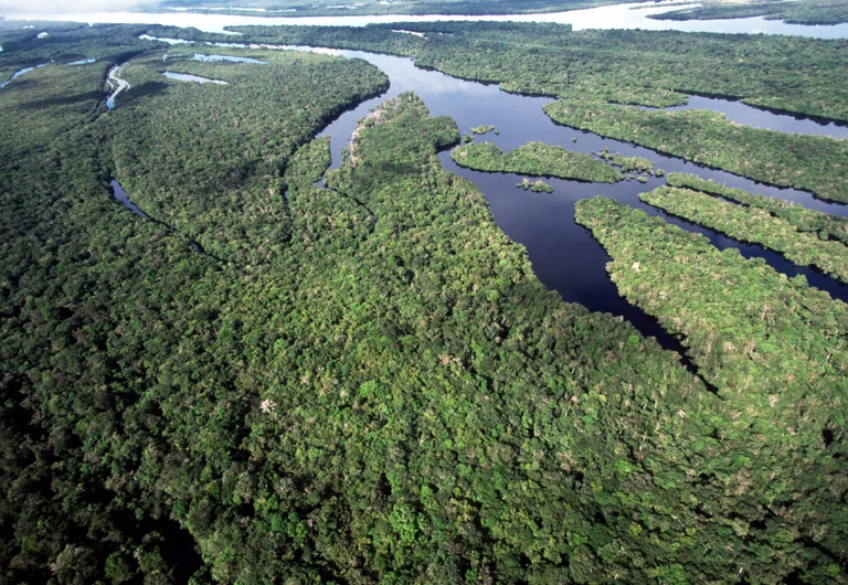 Brasil anuncia a maior queda de desmatamento na Amazônia e no Cerrado desde 1988 Brasil anuncia a maior queda de desmatamento na Amazônia e no Cerrado desde 1988