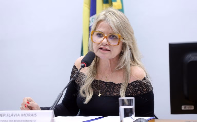 Flávia Morais, relatora do projeto de lei