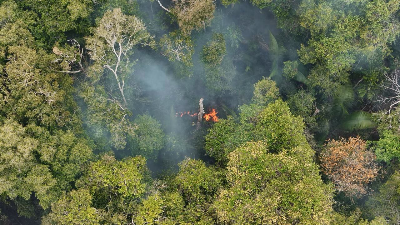Defensoria Pública participa de articulação institucional para enfrentar impactos das queimadas e da estiagem no Amazonas Defensoria Pública participa de articulação institucional para enfrentar impactos das queimadas e da estiagem no Amazonas