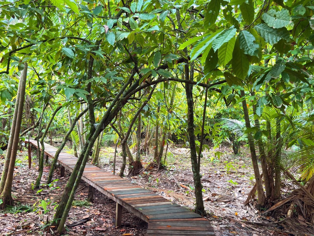 Pesquisa aponta potencial de Rio Branco para liderar inovação na Amazônia