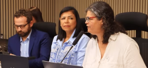A mesa de debate no Conselho Nacional de Saúde tratou de violências disfarçadas