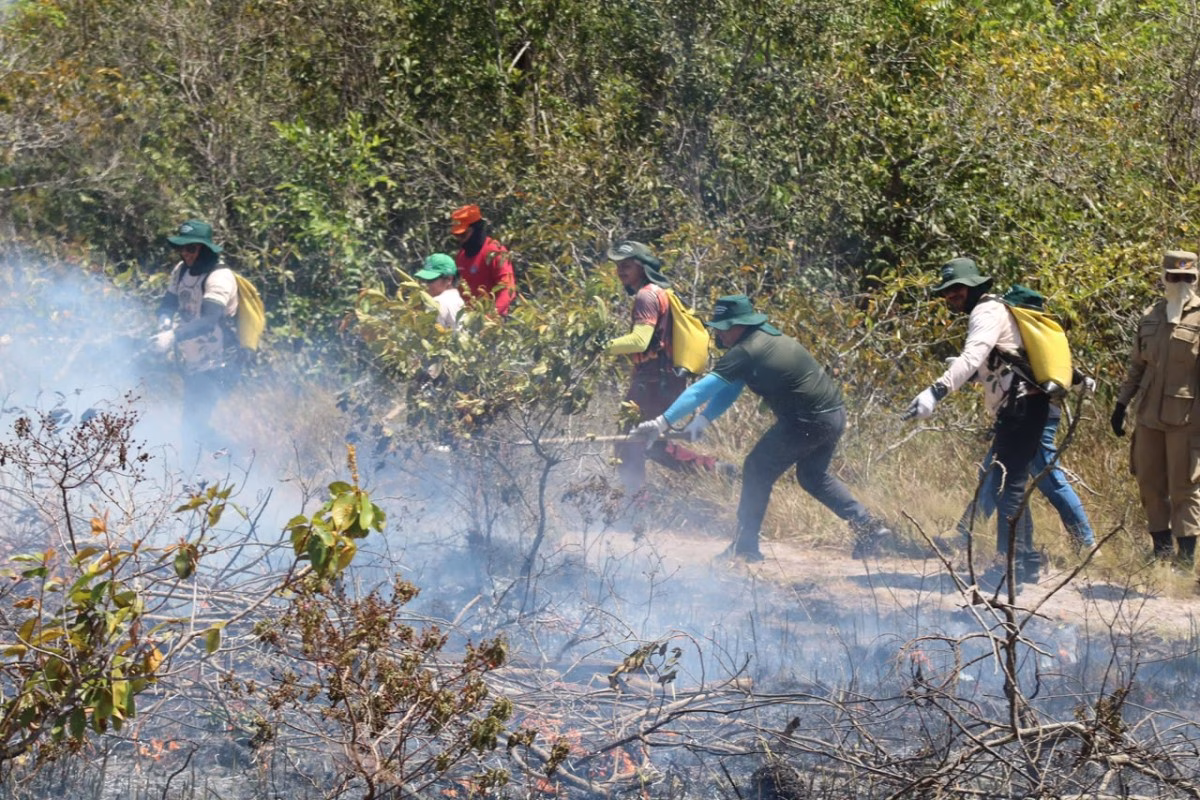 Parintins reforça combate às queimadas com contratação de brigadistas e treinamento de servidores