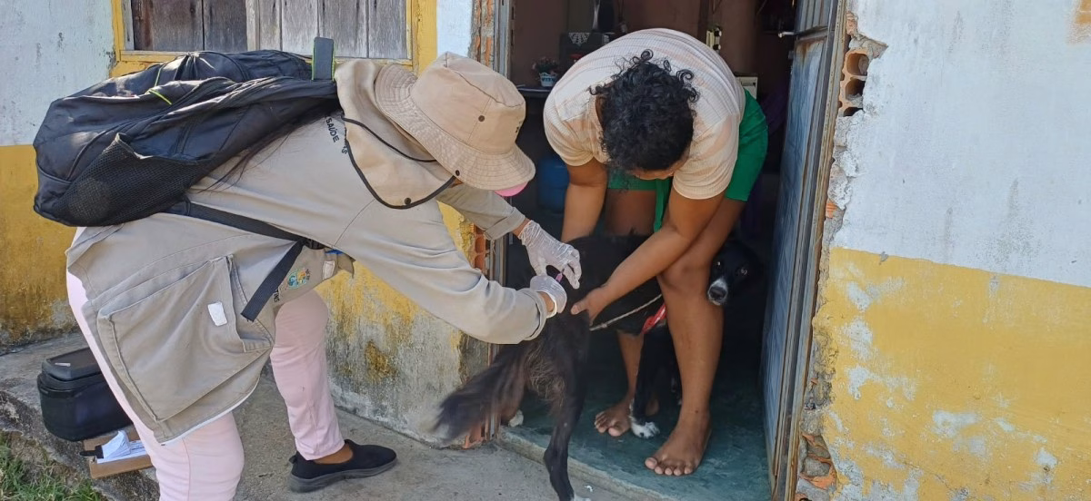 Prefeitura de Parintins inicia vacinação antirrábica na Estrada e Ramais do Aninga Prefeitura de Parintins inicia vacinação antirrábica na Estrada e Ramais do Aninga