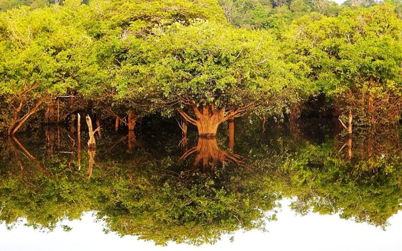 Governo do Amazonas apoia pesquisa para o desenvolvimento do ecoturismo comunitário