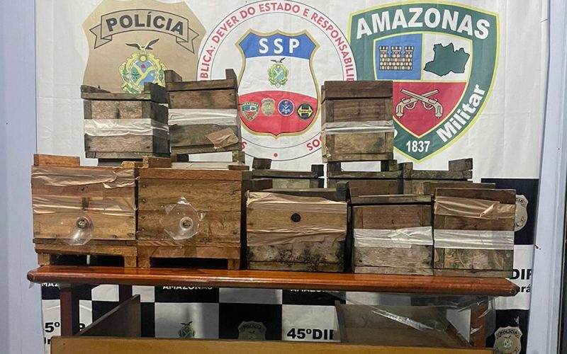 Policia-recupera-12-caixas-de-abelhas-furtadas-do-Centro-de-Treinamento-Rural-de-Urucara
