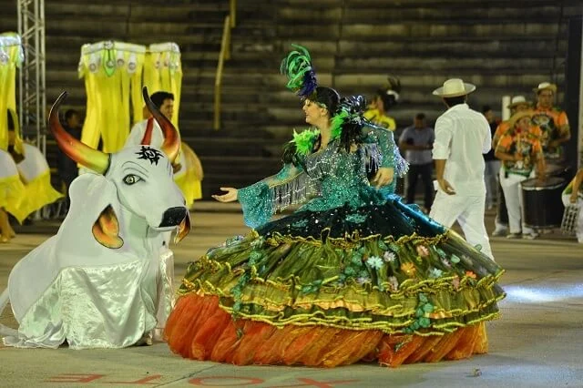 65º Festival Folclórico do Amazonas: conheça os bois-bumbás da categoria Ouro da Master B