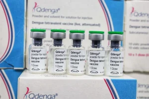 Vacinas Contra A Dengue São Redistribuídas Para Novos 15 Municípios No Amazonas