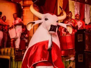 Garantido já tem data para eleições