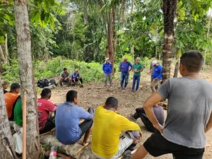 Idam acompanha a implantação de Unidades de Referência Tecnológica para a Cultura da Banana em Tefé
