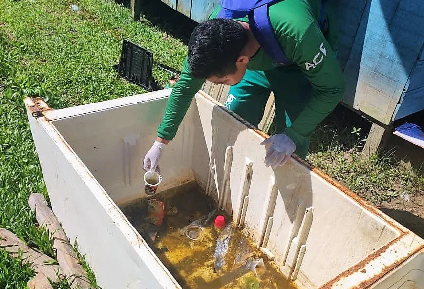 Amazonas atualiza situação das arboviroses nesta quinta-feira