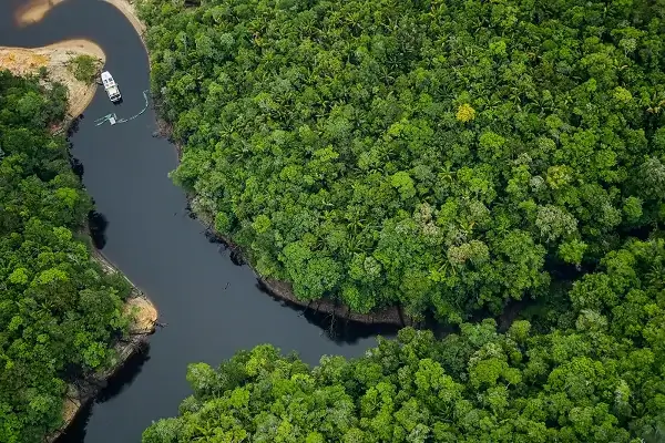 Amazonas é o melhor lugar do mundo para o ecoturismo, aponta a revista americana Forbes 2 Amazonas é o melhor lugar do mundo para o ecoturismo, aponta a revista americana Forbes