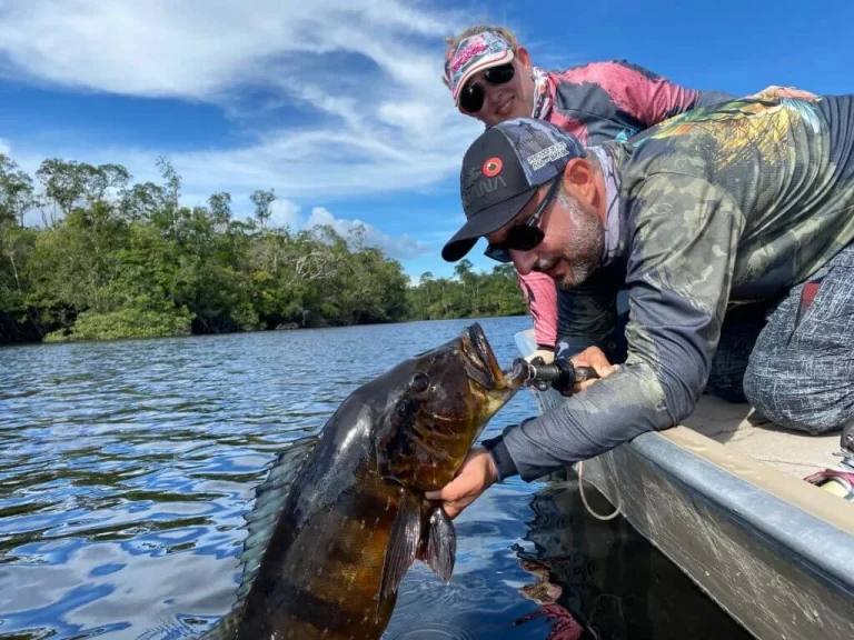 Amazonastur discute políticas públicas nacionais para pesca