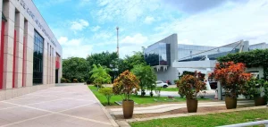 Auditoria Sobre Ações De Combate à Violência Contra A Mulher No Am Serão Apresentadas No Chile Pelo Tce