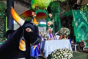 Boi Caprichoso Anuncia Missa De Ação De Graças Para Celebrar Início Dos Trabalhos De Galpão 