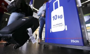 Câmara Aprova Retomada Da Gratuidade No Despacho De Bagagens