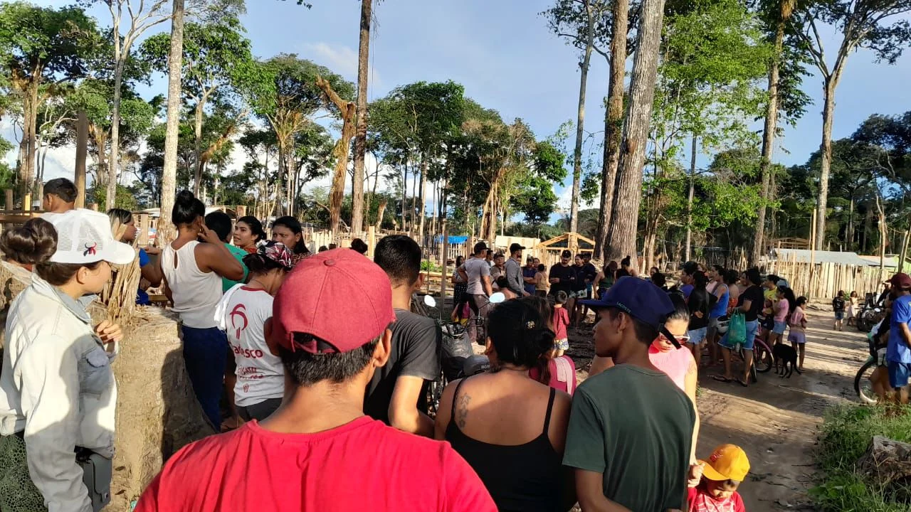 Castanheiras no Teixeirão serão inventariadas e ocupantes de lotes podem pagar multa