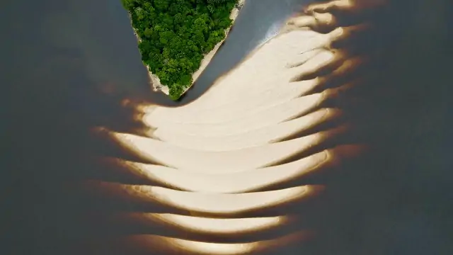 Conheça praias paradisíacas e ainda inexploradas no Amazonas 13 Conheça praias paradisíacas e ainda inexploradas no Amazonas