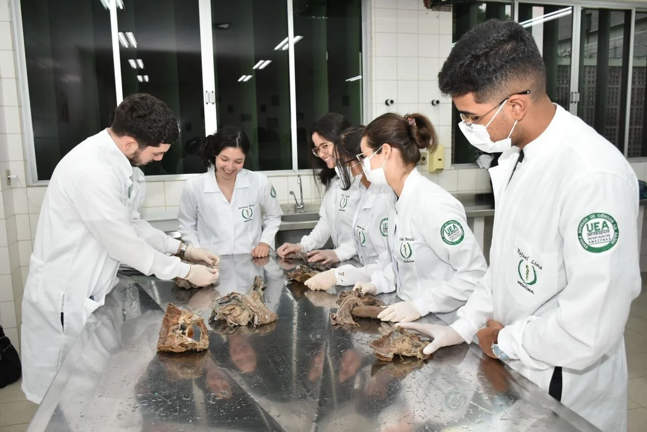 Conselho Estadual De Educação Conceitua Curso De Medicina Da Uea Com Nota 4,43