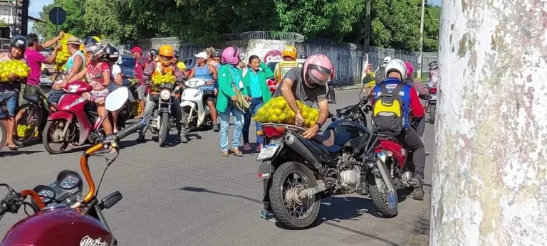 Consumo De Laranja Apreendida Por Risco Contaminação Por Praga Põe Saúde Pública De Parintins Em Alerta 