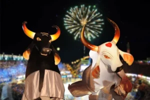 Definidas atrações para festa de Garantido e Caprichoso no BBB24