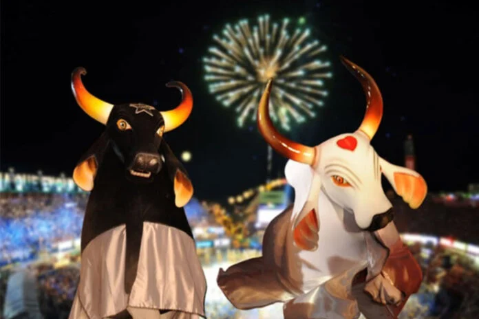 Definidas atrações para festa de Garantido e Caprichoso no BBB24