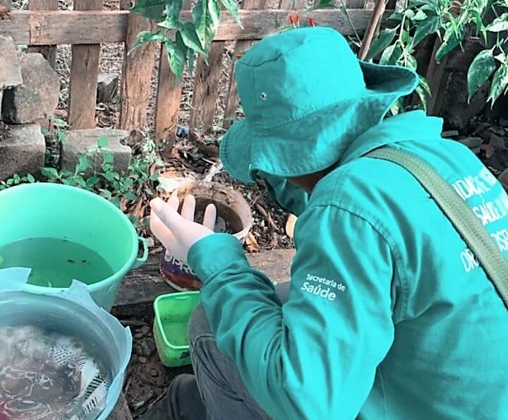 Dengue: Saúde atualiza cenário da doença no Amazonas em informativo epidemiológico nesta sexta-feira