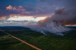 Desenvolvimento Territorial Da Br 319 Deve Ser Adequado às Realidades E Populações Da Rodovia