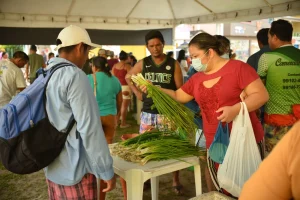 Economia Do Produtor Rural De Barreirinha é Aquecida Durante Realização De Feira Da Agricultura