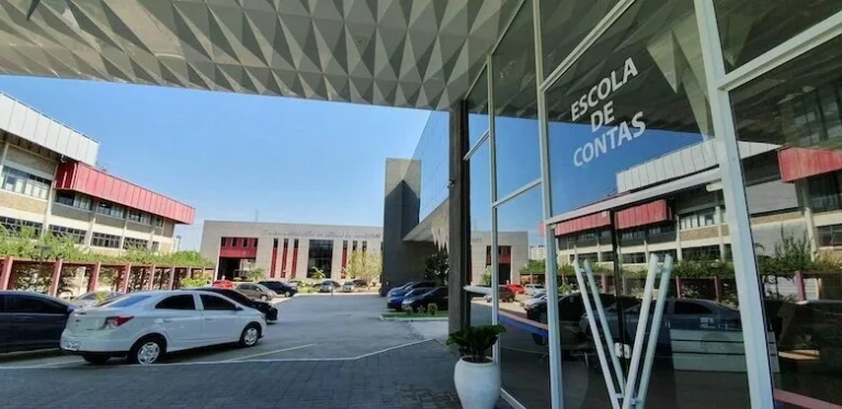Ecp Do Tce Am