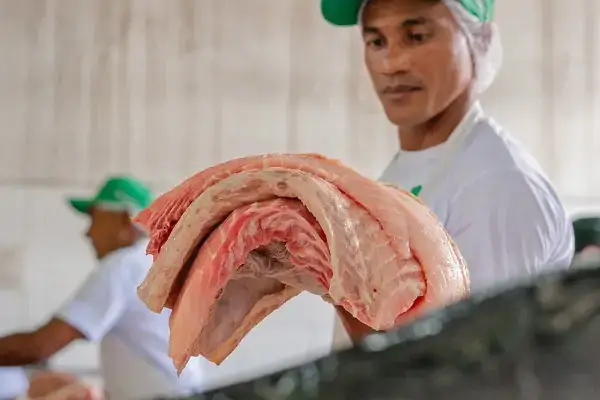 FAS realiza venda de pirarucu de origem sustentável