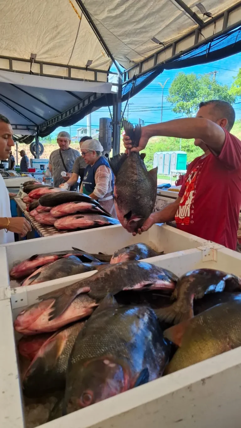 Feirão Do Pescado  Ads Registra Venda De Mais De 12 Toneladas De Peixes No Segundo Dia Do Evento