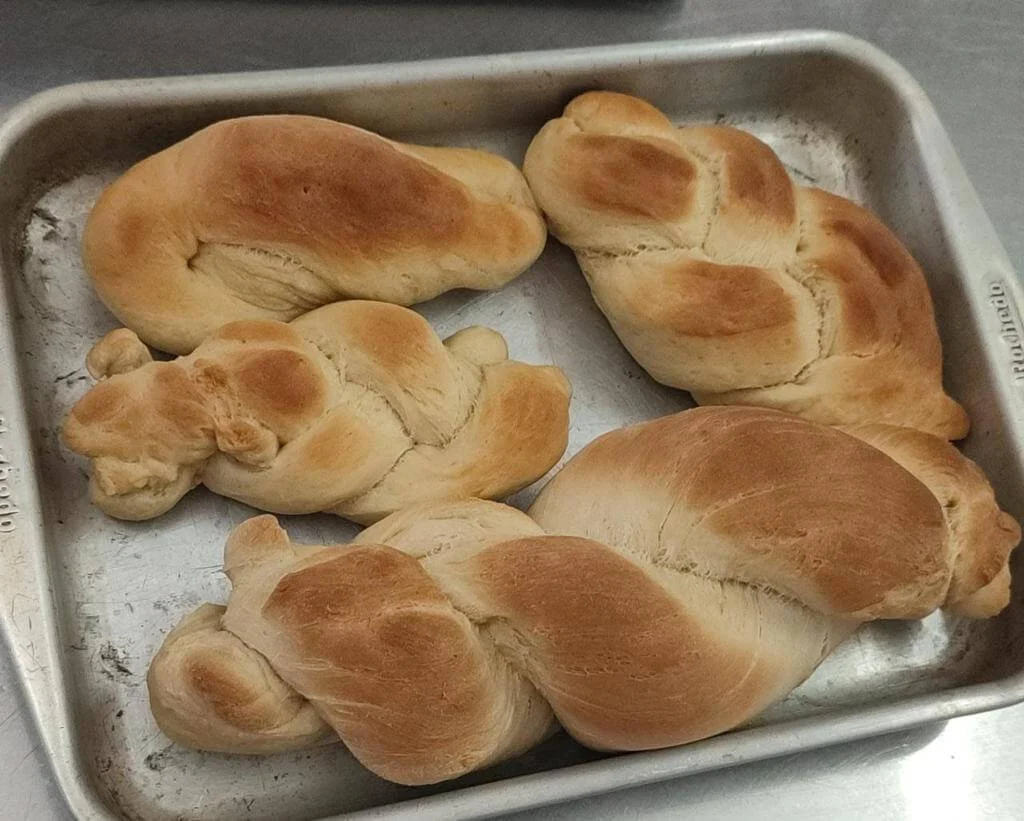 Governo Do Amazonas Apoia Pesquisa Para Potencializar Cadeia Produtiva Do Cará Roxo