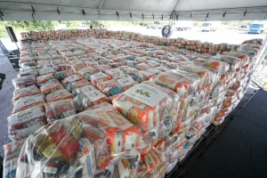 Governo Do Amazonas Divulga Boletim Sobre A Estiagem No Estado, Nesta Segunda Feira