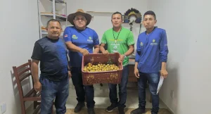Governo Do Amazonas Investiu Mais De R$ 400 Mil Na Compra De Alimentos Da Agricultura Indígena