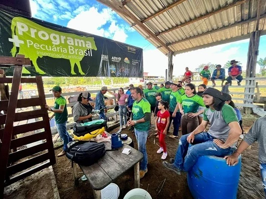 Governo do Amazonas realiza inseminação artificial em animais bovinos de Barreirinha 17 Governo do Amazonas realiza inseminação artificial em animais bovinos de Barreirinha