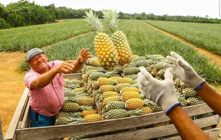 Governo Do Amazonas Repassou Mais De R$ 22 Milhões Para Interior Do Estado, No Primeiro Semestre