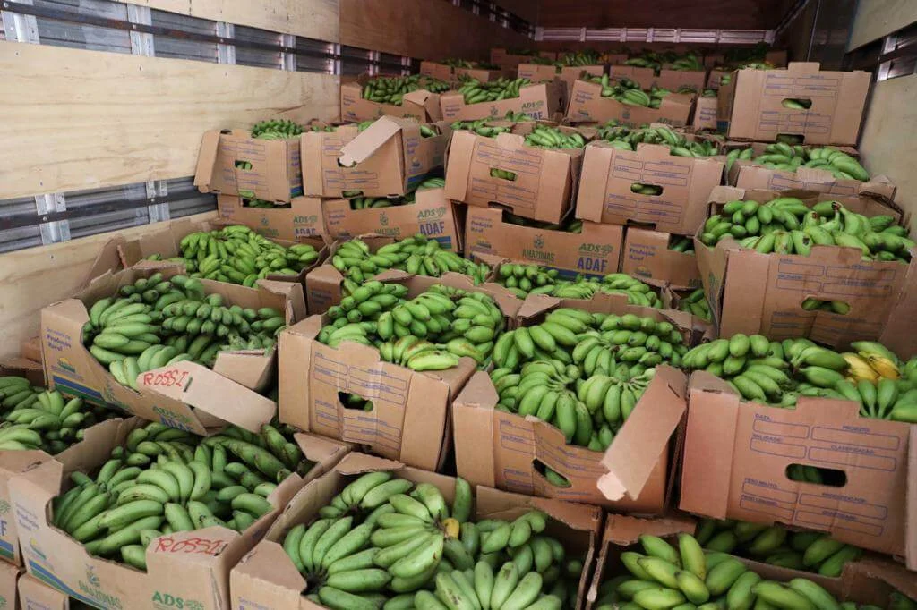 Governo do Amazonas ultrapassa metas do Programa Nacional de Alimentação Escolar e fortalece a agricultura familiar 3 Governo do Amazonas ultrapassa metas do Programa Nacional de Alimentação Escolar e fortalece a agricultura familiar