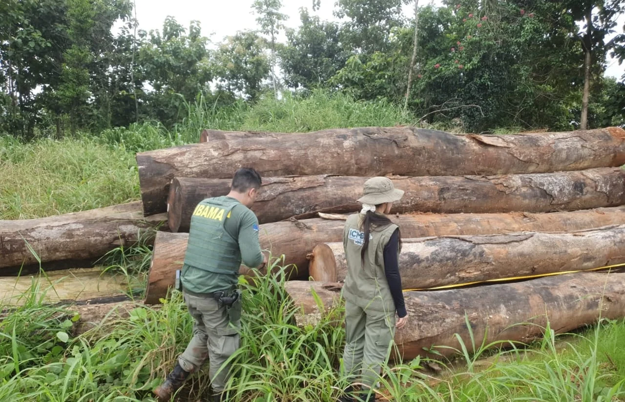 Ibama inicia Operação Maravalha 2025 para combater o desmatamento na Amazônia 16 Ibama inicia Operação Maravalha 2025 para combater o desmatamento na Amazônia