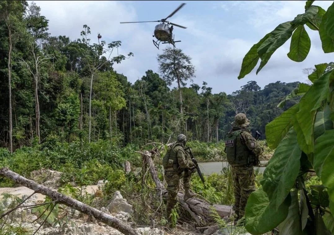 Ibama registra queda no desmatamento na Amazônia