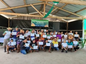Idam inicia atividades com Unidade Demonstrativa de Abacaxi, em Barreirinha