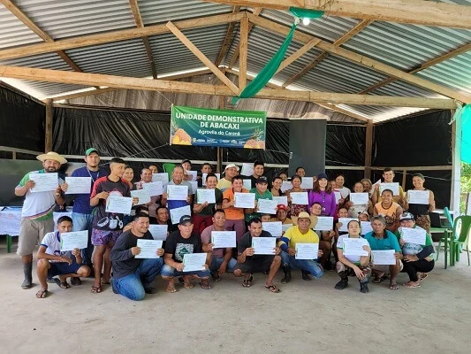 <strong>Idam inicia atividades com Unidade Demonstrativa de Abacaxi, em Barreirinha</strong>