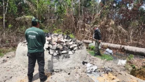 Instituto de Proteção Ambiental do Amazonas (Ipaam) destrói 16 fornos de carvão em Rio Preto da Eva