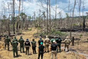 Ipaam aplica mais de R$ 13 milhões em multas durante a 8ª etapa da Operação Tamoiotatá 5