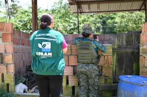 Ipaam Aplica Multa De Quase R$ 500 Mil A Criador Por Maus Tratos A 104 Porcos E 6 Animais Silvestres