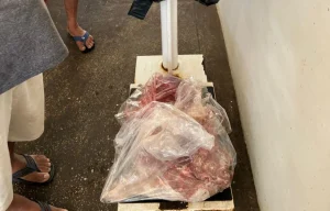 Ipaam apreende carne de capivara comercializada ilegalmente em feira de Itacoatiara