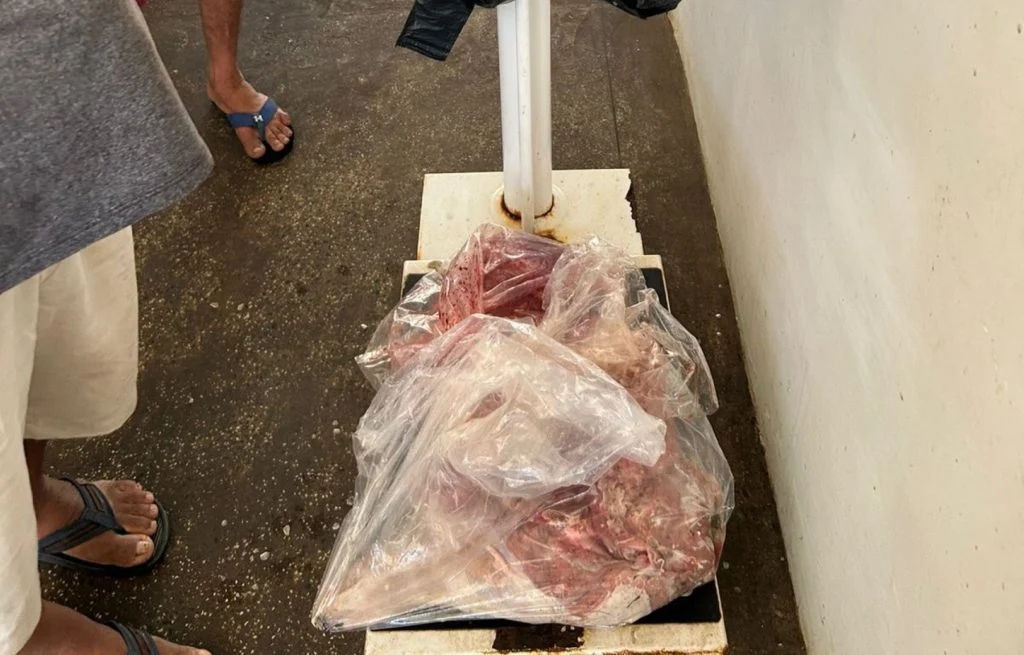 Ipaam apreende carne de capivara comercializada ilegalmente em feira de Itacoatiara